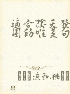 适合阴天发朋友圈的唯美句子