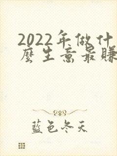 2022年做什么生意最赚钱