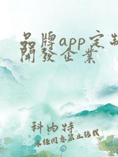 品牌app定制开发企业
