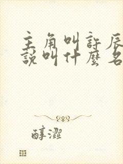 主角叫许辰的小说叫什么名字
