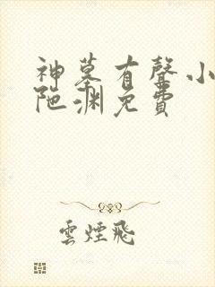 神墓有声小说头陀渊免费