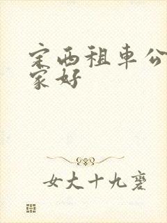 定西租车公司哪家好