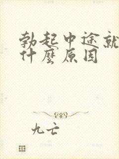 勃起中途就软了什么原因