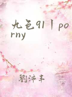 九色91丨porny