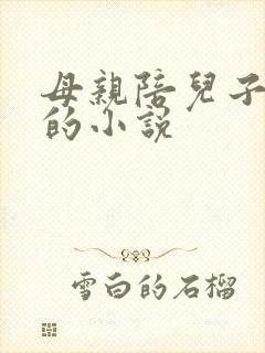 母亲陪儿子读书的小说