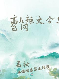高h辣文合集书包网