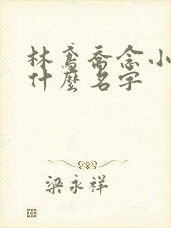 林鸢乔念小说叫什么名字
