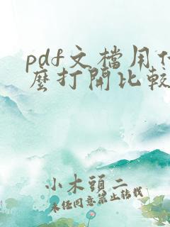 pdf文档用什么打开比较好