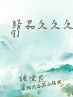 精品久久久久久91