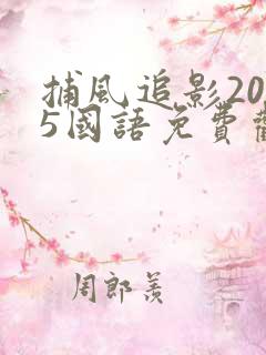 捕风追影2025国语免费观看