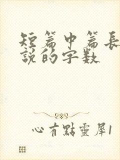 短篇中篇长篇小说的字数