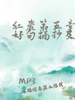 红岩第五章好词好句摘抄及感悟