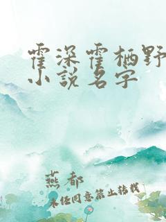 霍深霍栖野夏稚小说名字