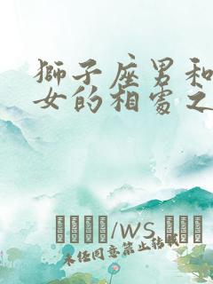 狮子座男和双子女的相处之道