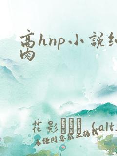 高hnp小说纯肉