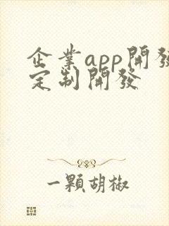 企业app开发定制开发