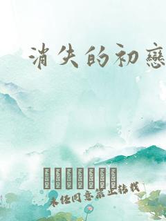 消失的初恋泰剧