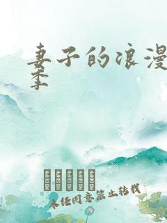 妻子的浪漫第一季 妻子的浪漫第一季