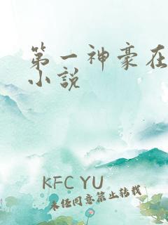 第一神豪在都市小说