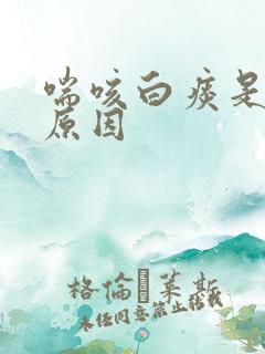 喘咳白痰是什么原因