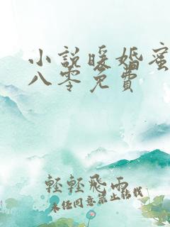 小说暖婚蜜恋在八零免费