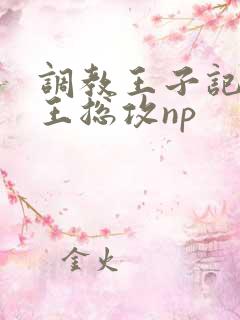 调教王子记【网王总攻np