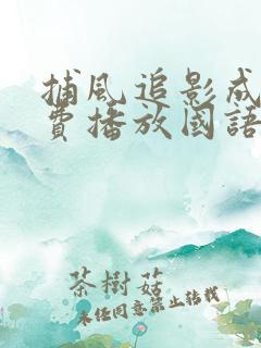 捕风追影成龙免费播放国语