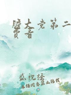 胆大党第二季免费看