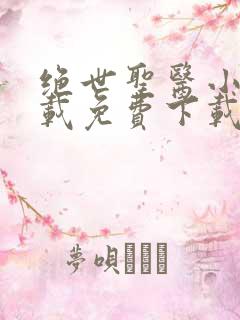绝世圣医小说下载免费下载全集