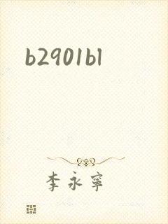 b2901bl
