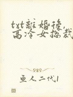 txt离婚后,高冷女总裁赖上我下载