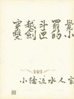 穿越斗罗觉醒无双剑匣的小说