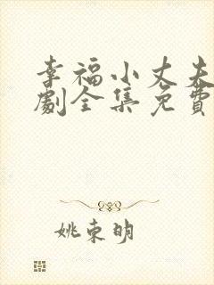 幸福小丈夫电视剧全集免费