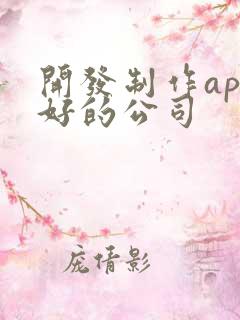开发制作app好的公司