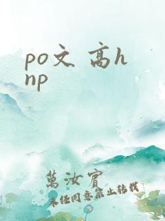 po文 高h np