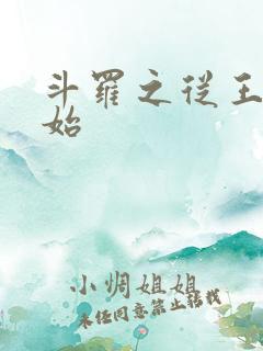 斗罗之从王圣开始