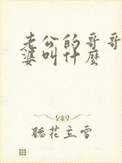 老公的哥哥的老婆叫什么