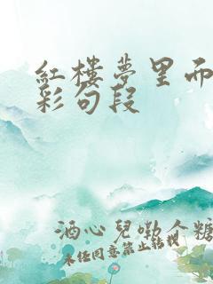 红楼梦里面的精彩句段 红楼梦里面的精彩句段