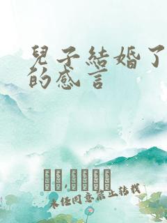 儿子结婚了母亲的感言