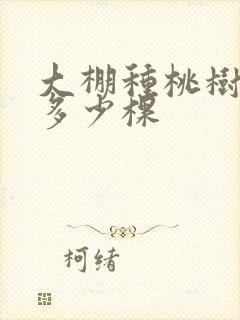 大棚种桃树每亩多少棵