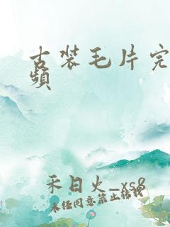 古装毛片完整视频