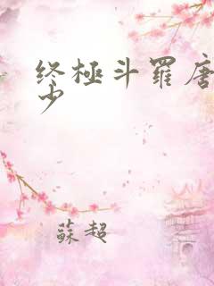 终极斗罗唐家三少