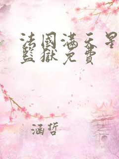 法国满天星高压监狱免费