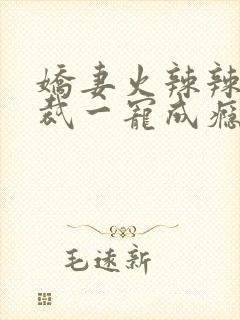 娇妻火辣辣:总裁一宠成瘾小说