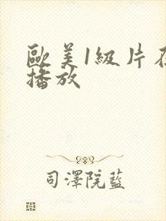 欧美1级片在线播放