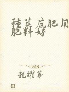 种菜底肥用什么肥料好
