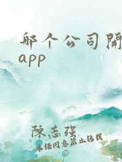 哪个公司开发个app