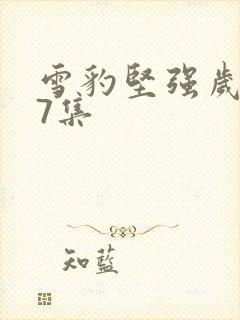雪豹坚强岁月37集