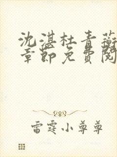 沈湛杜青蘅最新章节免费阅读笔趣阁
