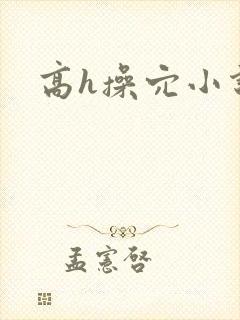 高h操穴小说